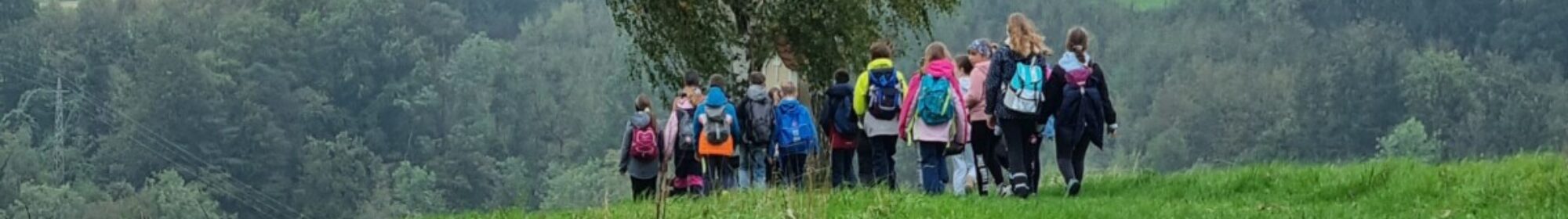 Volksschule Wallsee-Sindelburg